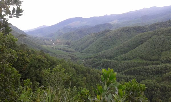 Why Vietnam might be my new favourite place: photo 1