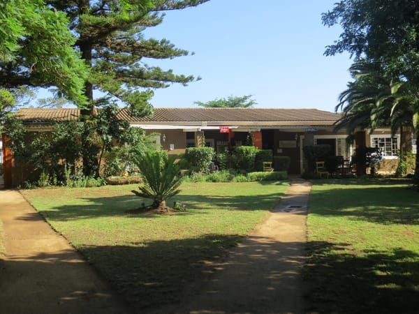 A volunteer experience near Addo Elephant National Park: photo 1