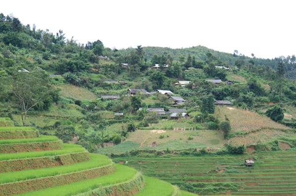 The Valley Verdure of Mù Cang Chải: photo 2