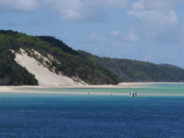 Queensland: Dolphin feeding on Moreton Island: photo 2
