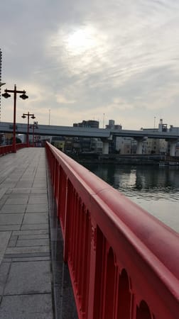 A Capsule Hotel in Asakusa: photo 14