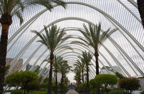 SPAIN: DISCOVERING THE CITY OF VALENCIA: photo 20