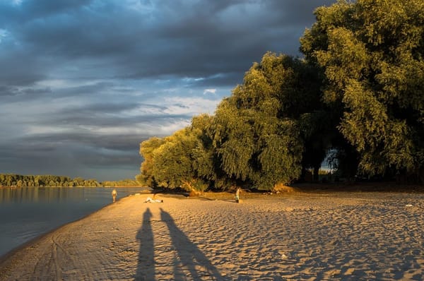 8 Places to visit in Novi Sad: photo 10
