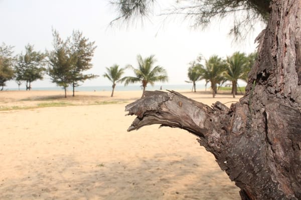 Best Budget Weekend Getaway to Pondicherry, India: photo 3