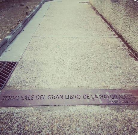 5 non-touristy curiosities for Barcelona lovers: photo 2