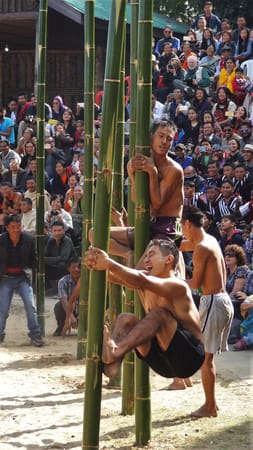 Welcome to Nagaland's Hornbill Festival: photo 18