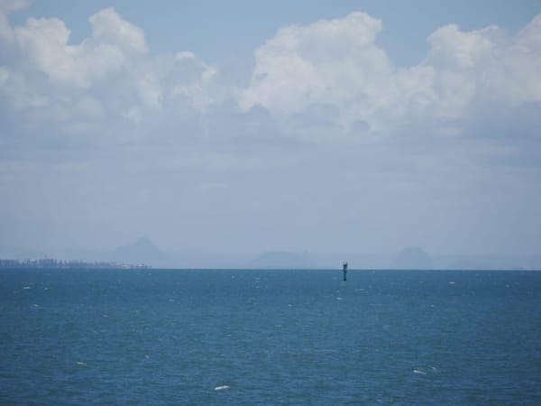 Queensland: Dolphin feeding on Moreton Island: photo 1