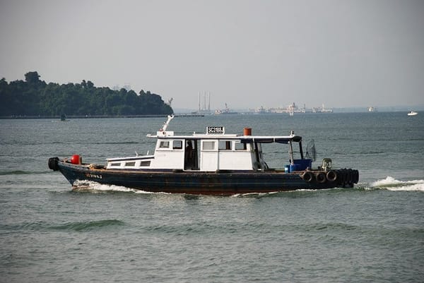 Top 5 parks to visit in Singapore: photo 1