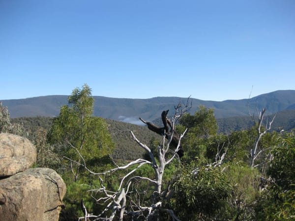 Run to the Hills - Camping in the Snowy Wilderness: photo 4