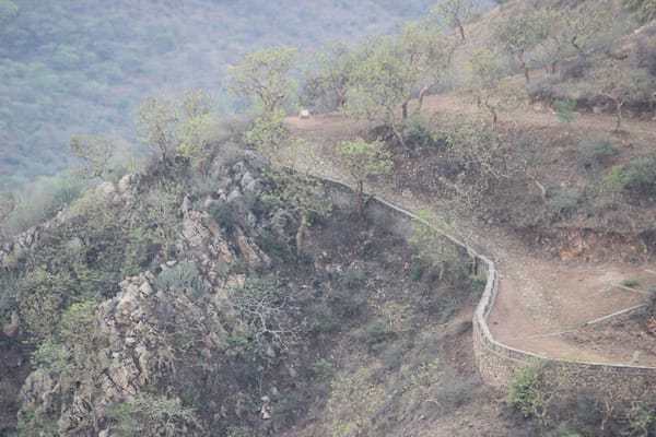 Udaipur - The land of royals: photo 8