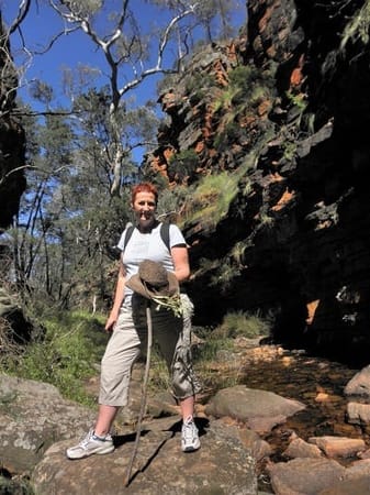 Flinders Ranges: Ancient earth and fascinating wildlife: photo 9