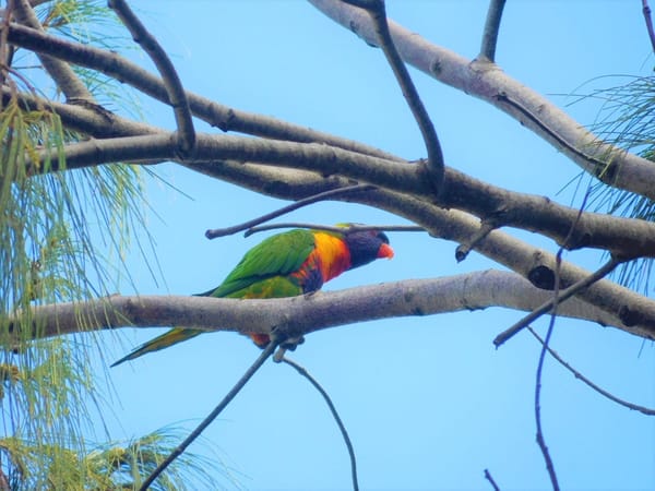 The Best Of Gold Coast: photo 5