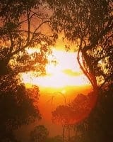 Bingil Bay - Australia’s hidden tropical paradise: photo 25