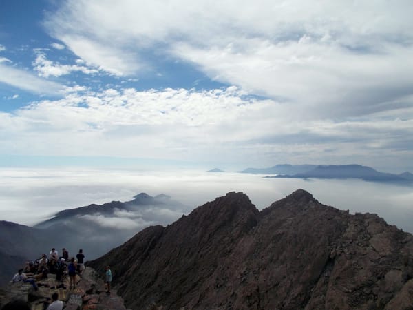 Cerro La Campana- Chile: photo 5
