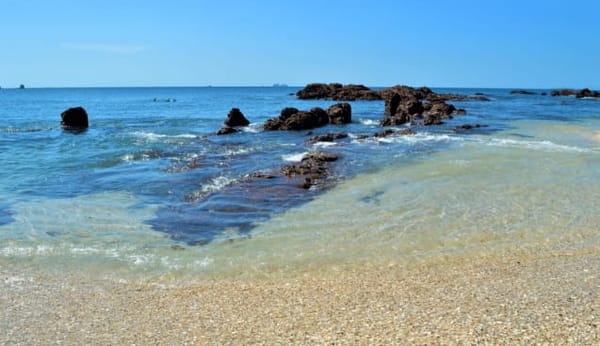 Top 5 Reasons to Visit Costa Rica: photo 2