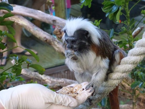 New Zealand: The Wild Side of Auckland: photo 7
