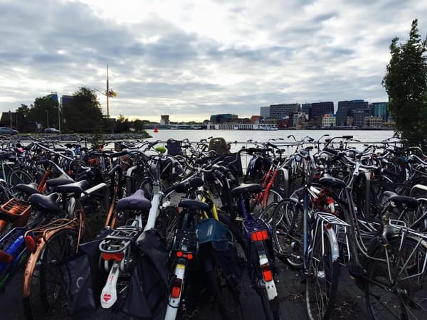 A step by step guide to exploring Amsterdam-Noord: photo 3