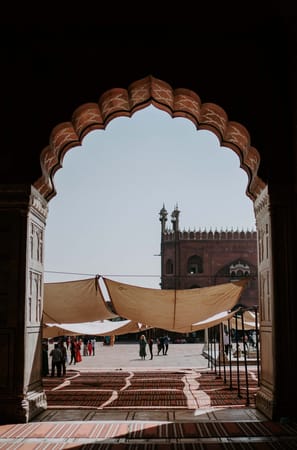 A survival practical guide to Delhi: photo 5