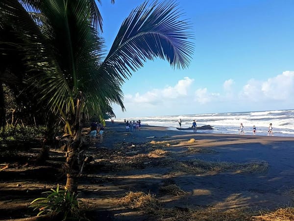 Nine things to know to make the most out of Costa Rica: photo 2