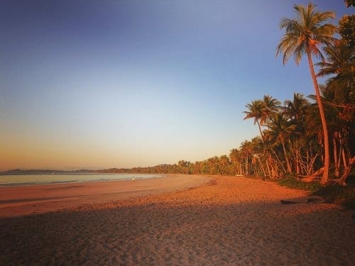 Bingil Bay - Australia’s hidden tropical paradise: photo 13