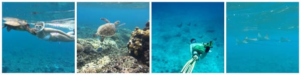 SEYCHELLES - One Month in Paradise: photo 11