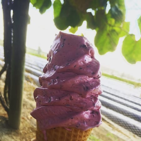 Hawke's Bay: New Zealand's hidden gemstone: photo 5
