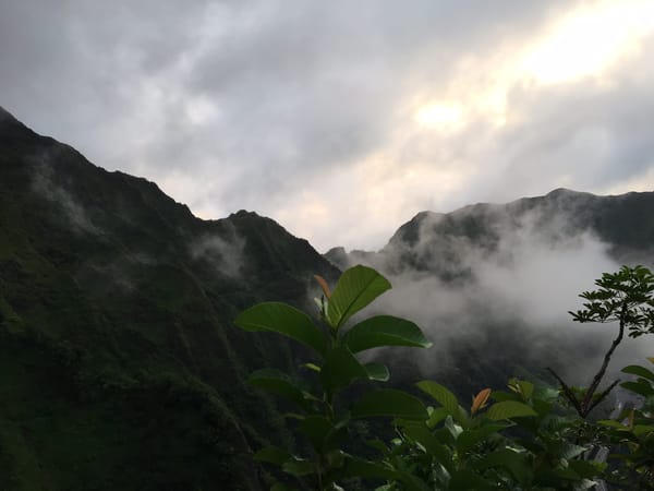 Best things to do in Oahu Hawaii: photo 7