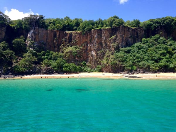 Fernando de Noronha: Tropical Island Getaway: photo 1