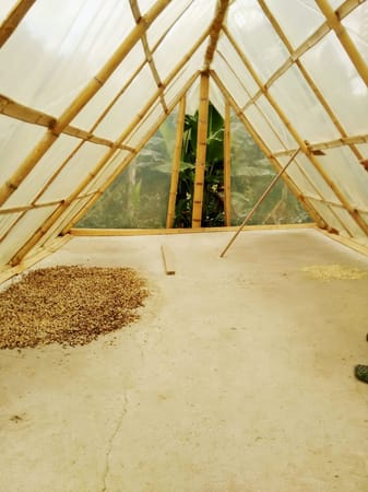 Top Places And Treks To Do In The EJE CAFETERO: Colombia: photo 4