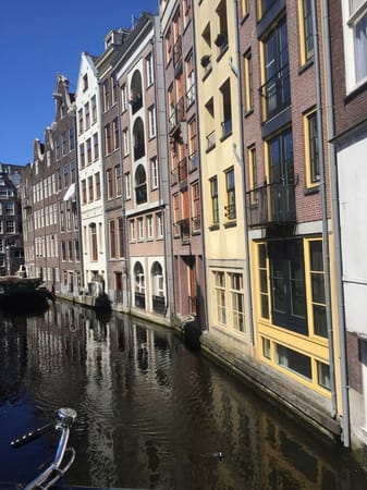 All about Amsterdam in 2 days: photo 13
