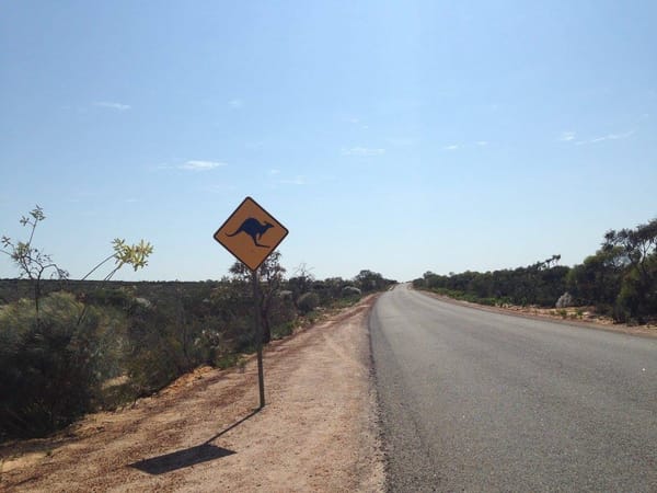 Perth: An Underrated Oasis in the Middle of the Outback: photo 11