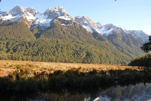 New Zealand : the land of wonders: photo 13