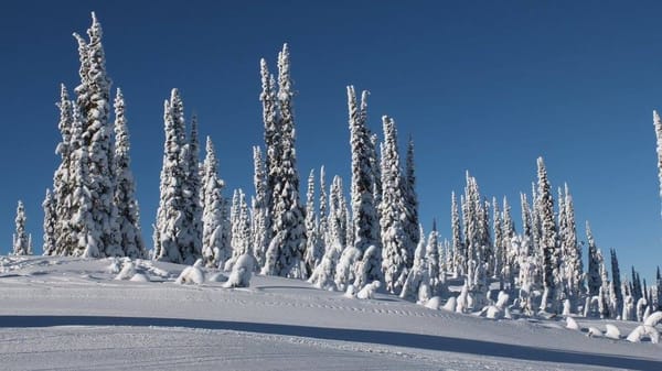Living a Mountain Life in Nelson: photo 1