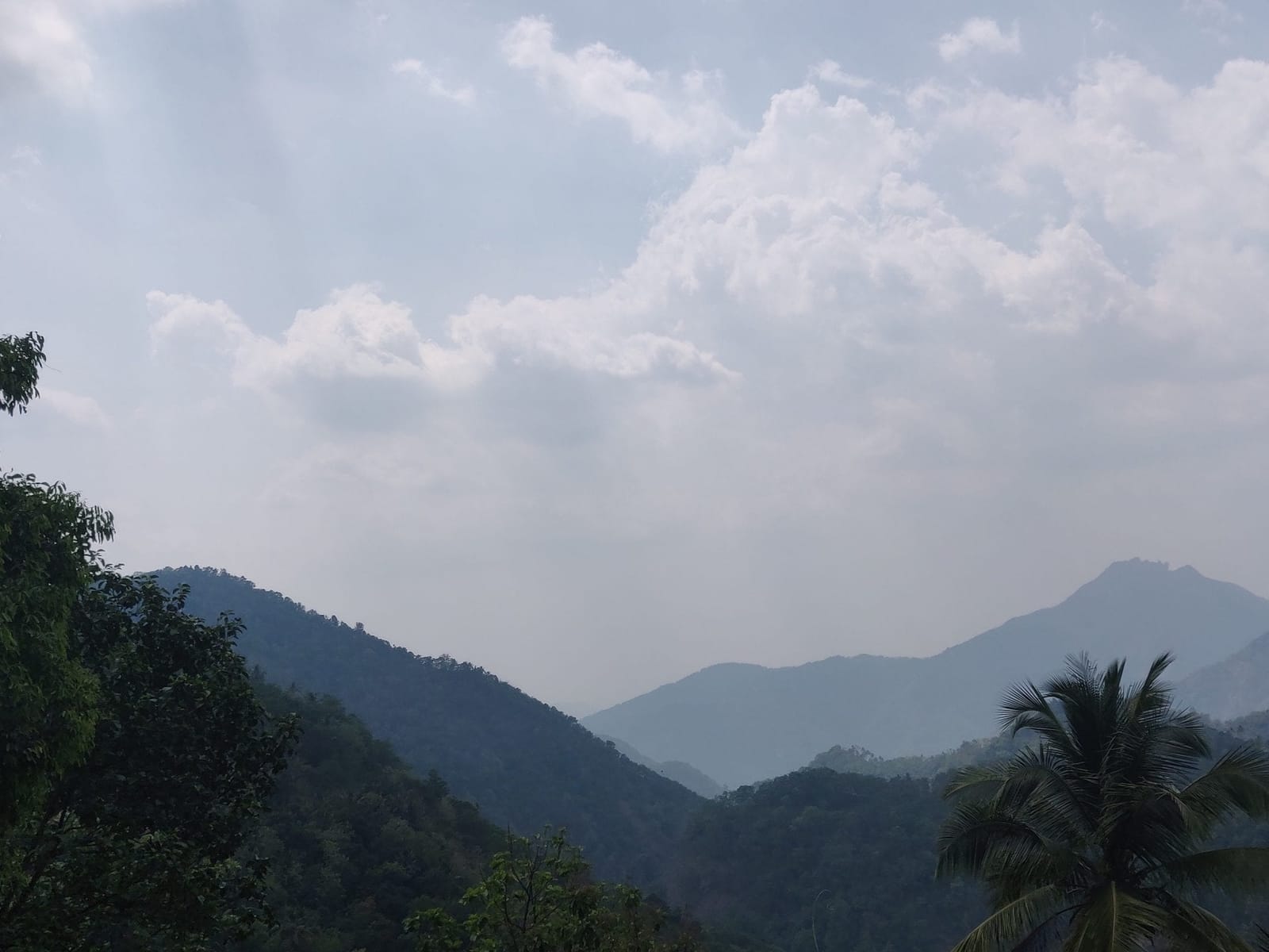 Exploring Vagamon - All in a day’s trip