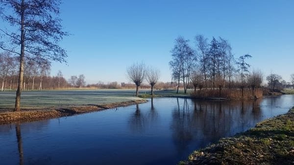 Leiden offers the full Dutch experience: photo 10