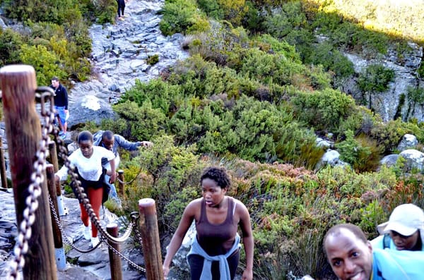Seeing Cape Town on a student budget: photo 18