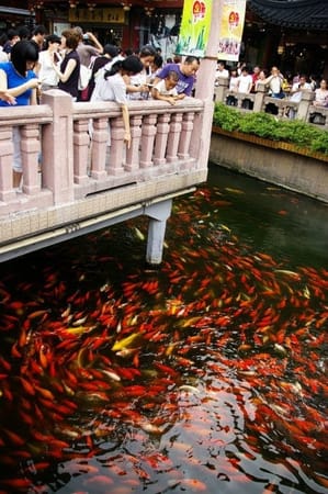 Must see places to experience the real Shanghai in one day: photo 2