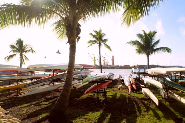 Reaching Tahiti after 7 days of sailing: photo 3