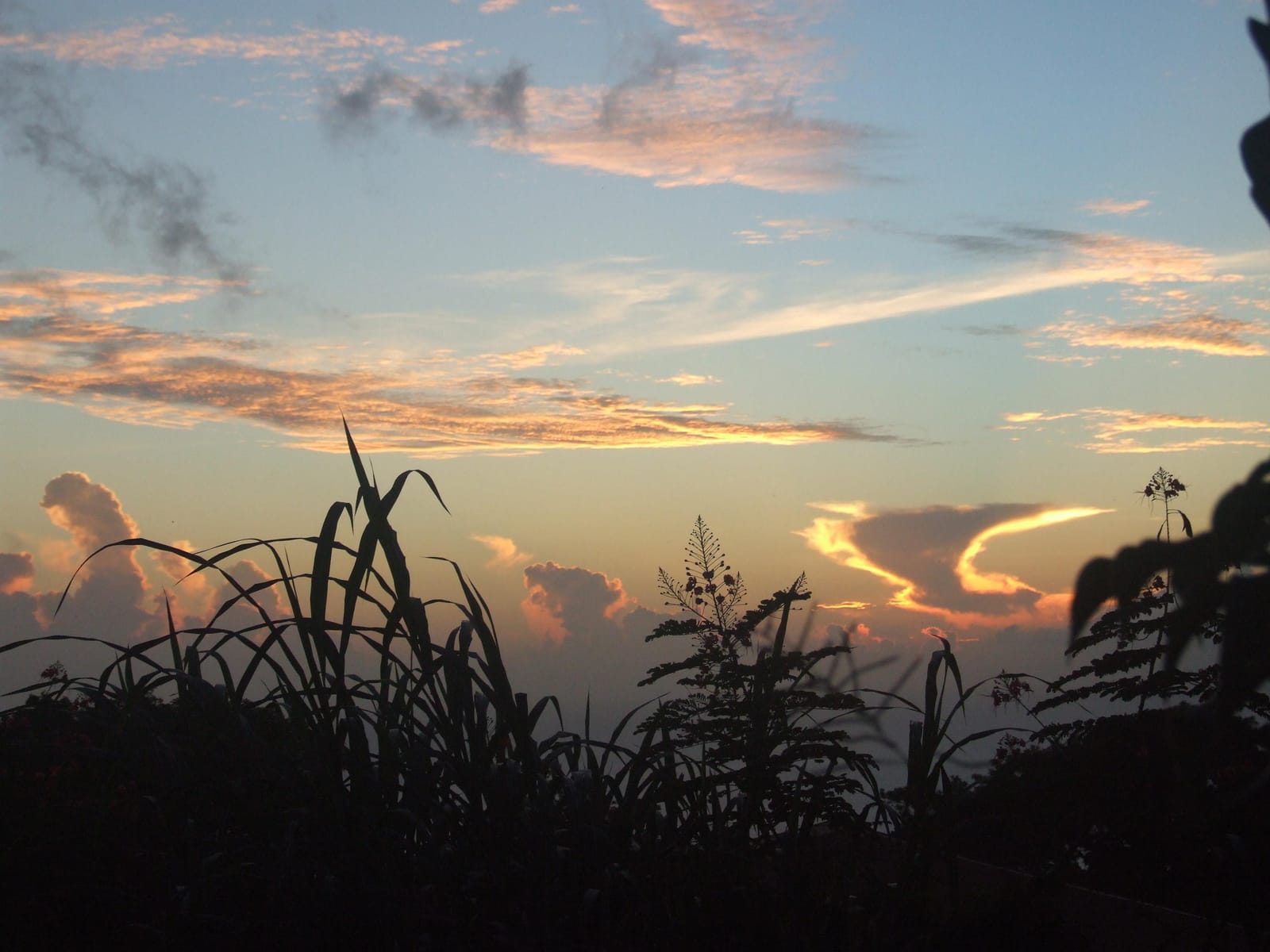 Dominica Island: Living like a local in Giraudel Village, the Flower Town.