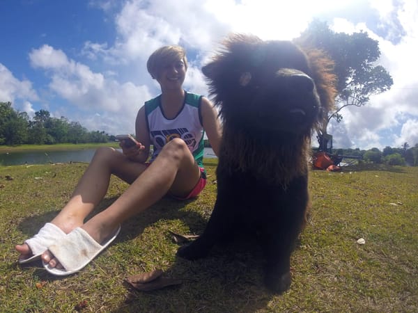 BLOC Camp Site: Laguna’s Hidden Getaway Spot: photo 9