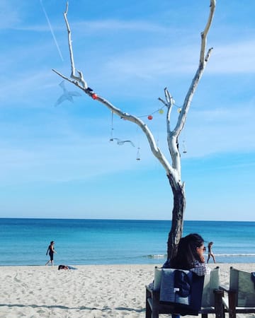 Varna- the most amazing city in Bulgaria: photo 4