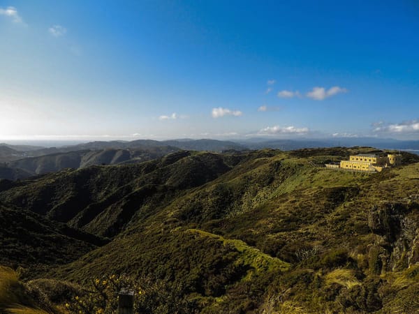 Hawkins Hill: The Hidden Gem of Wellington, New Zealand: photo 5