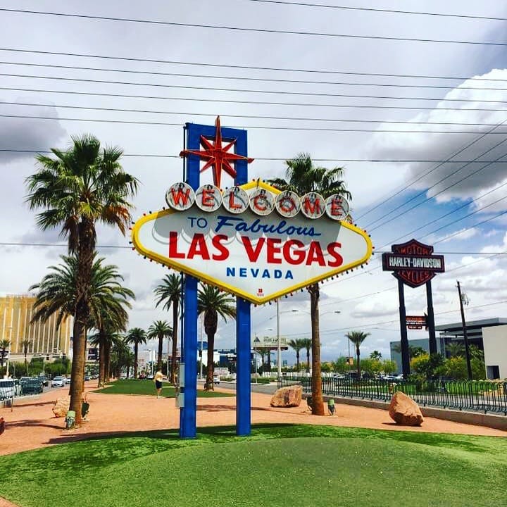 LAS VEGAS, (NV): casinos, hotels and lights
