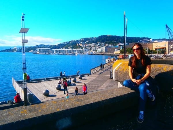 The Best Of Wellington In One Day: photo 3