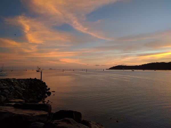 Airlie Beach: What to do in this sleepy seaside town: photo 2