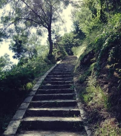 7 must-see places in Cluj-Napoca (Transylvania): photo 5