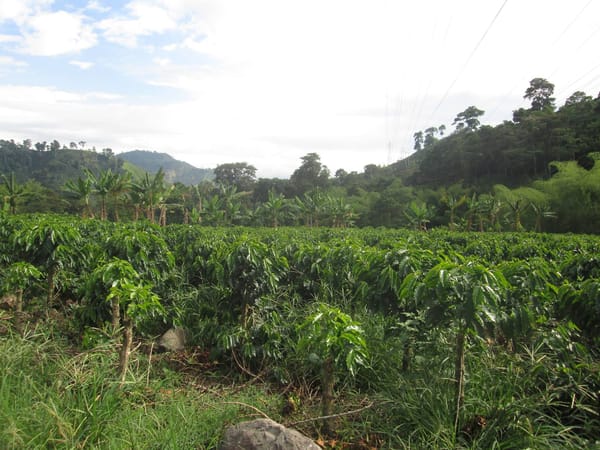 Colombia: photo 1