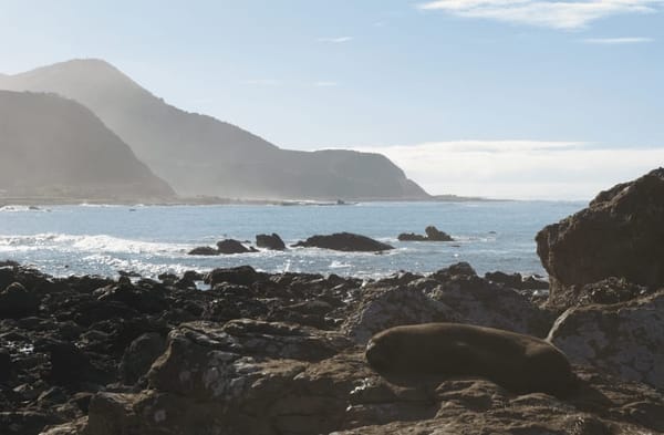 New Zealand’s Must-See Spots: photo 5