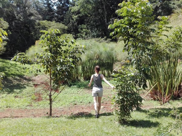 The Perfect Weekend in Nairobi: photo 2
