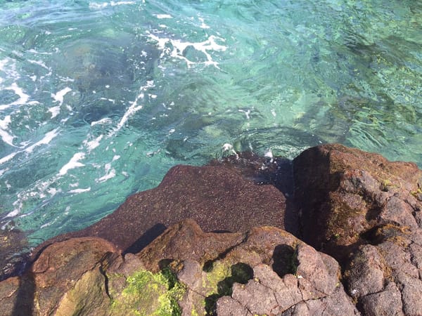 The Big Island: Two Step Beach: photo 1